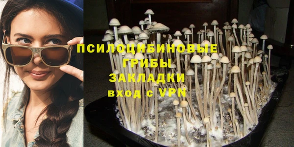 марки nbome Аркадак