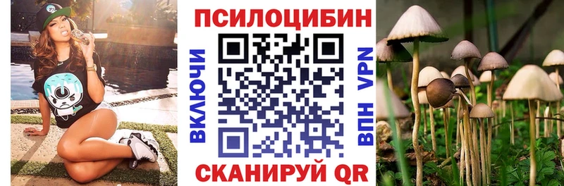 купить наркотик  OMG ссылка  Галлюциногенные грибы мицелий  Краснослободск 