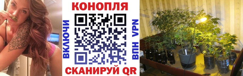 Шишки марихуана планчик Краснослободск